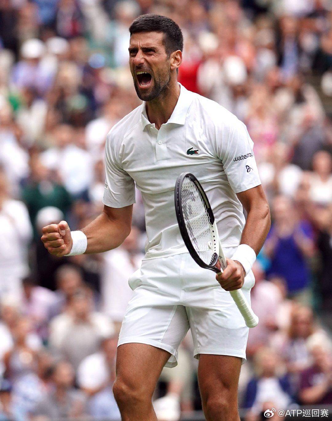 术是比赛中 术是比赛中